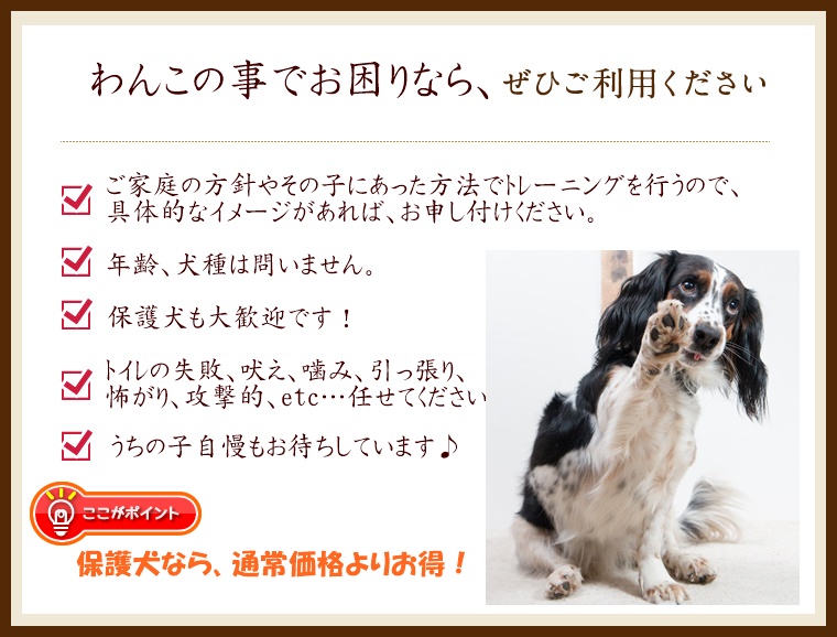 ぜひご利用ください