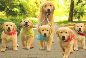 20160304174725-93xen_190_jpg