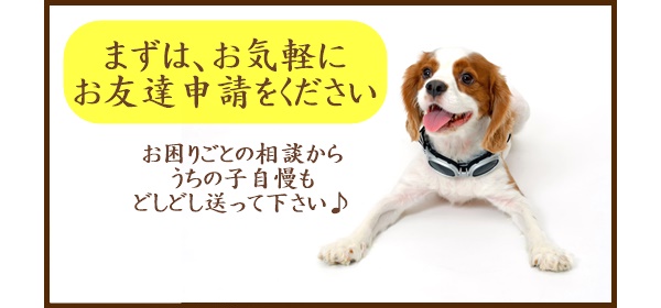 まずは、お気軽にお友達申請をください。