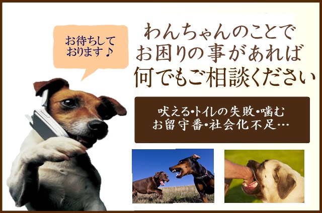 何でもご相談ください