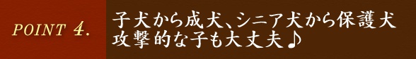 POINT.4 どんな子でもOK