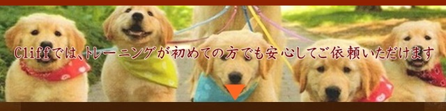 はじめての方でも安心して依頼いただけます