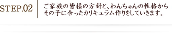 カリキュラム作り