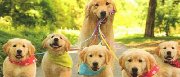 お売りになりたい商品