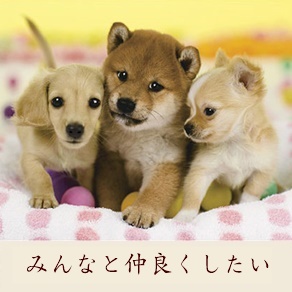 旅行に行きたい