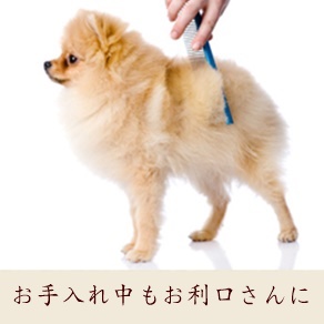 欲しいブランドアイテムがある