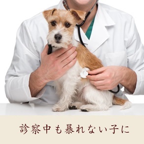 今月の支払がピンチ