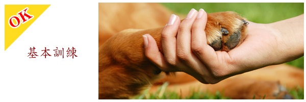 基本訓練