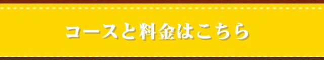 例えば、こんな金額で