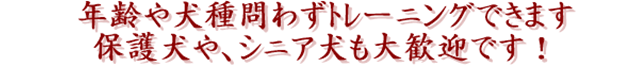 大歓迎です