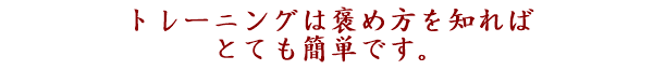 私たちのサービスはとても簡単です｡