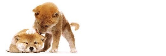 バッグイメージ画像