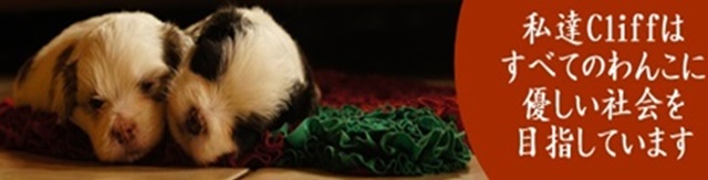 私たちラレーヌ神戸は、バレンシアガの買取実績NO.1を目指しております