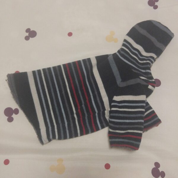 【SOLD OUT】ボーダーパーカー