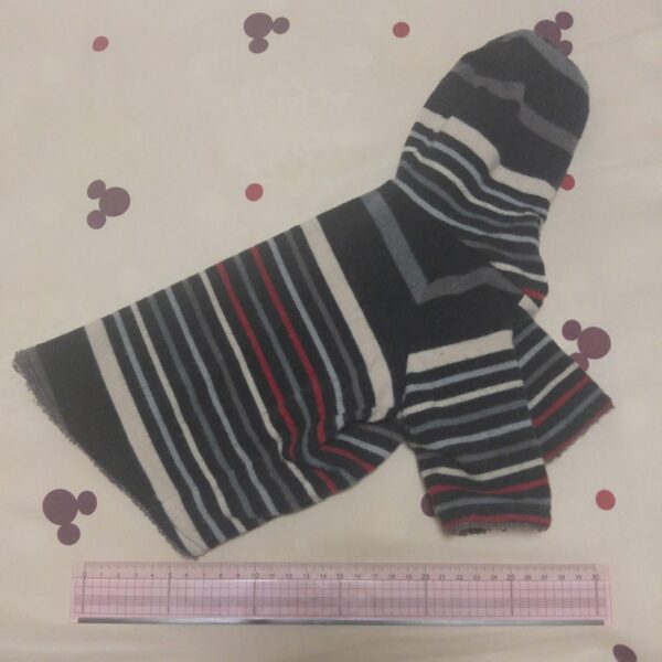 【SOLD OUT】ボーダーパーカー - 画像 (2)